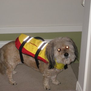 Everyone Needs Their Own PFD!