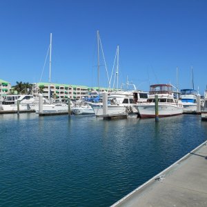 Media 'Sunrise Marina on Stock Island' in album 'Small Manatee joined us in the marina on Stock Island'