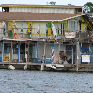 Media 'The name of this place must be "Party Central", in Fort Myers bay.' in album 'Small Manatee joined us in the marina on Stock Island'