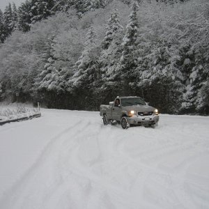 Bit - o - snow