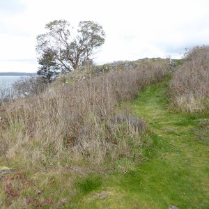 Trail to the top of Blind Island