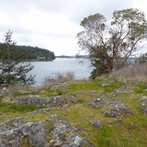 Walking up to the top of Blind Island