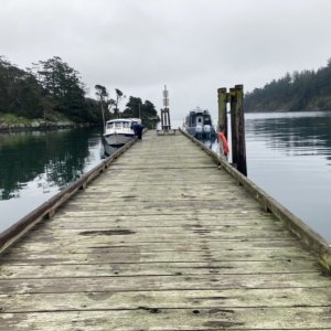 Dock was mostly empty for a while, thanks to tsunami warning