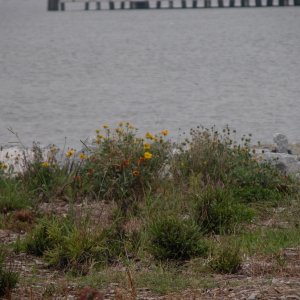 DSCN0348