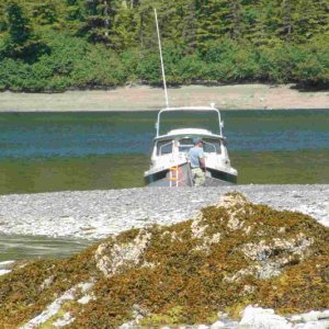 South End Ester Passage