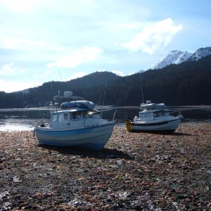 Low Tide