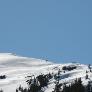 C-Worthy Skiing