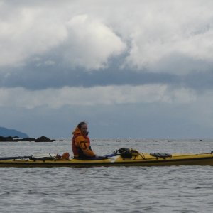 Sea Otters Olsen Island PWS