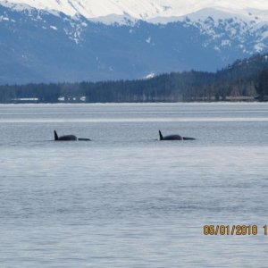 Two of three in the pod.