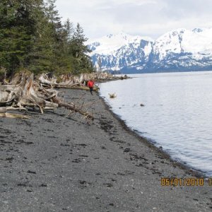 Beach Walk
