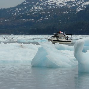 Shiroz In the Ice