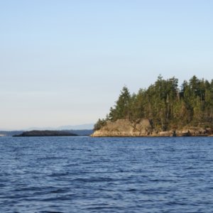 Copeland Islands DSC00921