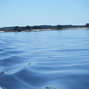 Turnagain Bay in the wake (7MAR10)