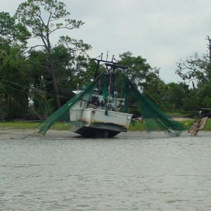 High and Dry
