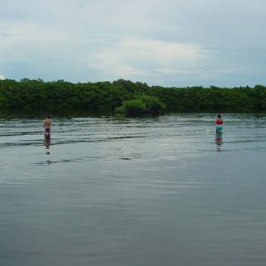 Fish'in
