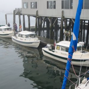 Three C-Dories all in a row, Boothbay Harbor