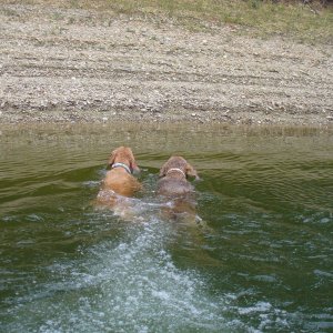 The "Crew" jumped ship before the dinghy got to shore.