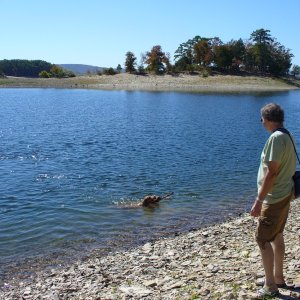 Anchorage #3 Lake Ouachita.