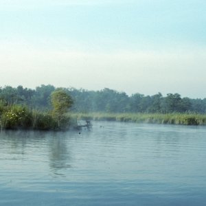 Mist on the Creek

Scanned slide taken in July 1989
