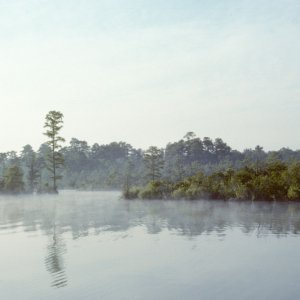 Mist on the Creek-7.

Scanned slide taken in July 1989