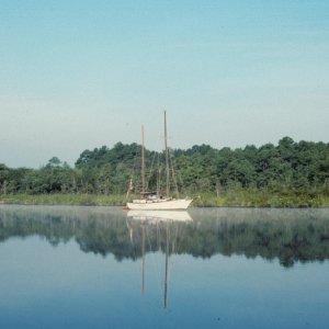 Sloop near West Neck Creek entrance.

Scanned slide taken in July 1989