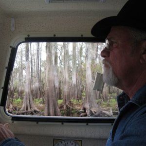 Cruising through the Cypress Swamp