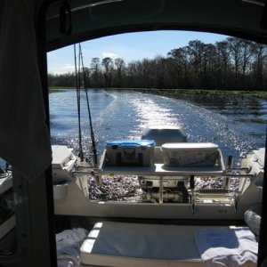Cruising through Paradise
