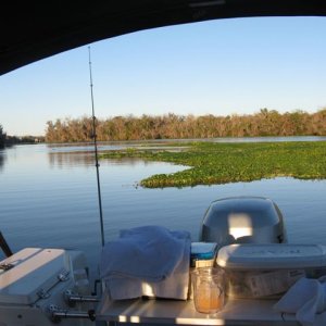 Media 'Anchorage for the night at the mouth of Cross Creek of Marjorie Kennan Rawlings fame' in album 'Launch day...1st Spec (Crappie) caught on Lake Harney'