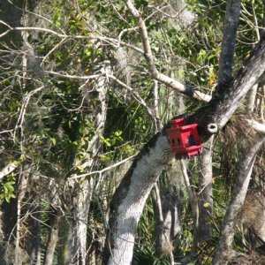 Caboose style birdhouse