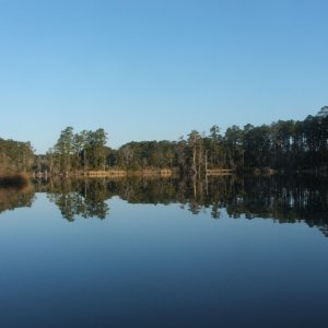 Media 'Upper Goose Creek  at GCSP(21FEB10)' in album 'Plying a very peaceful Neuse River (20FEB10'