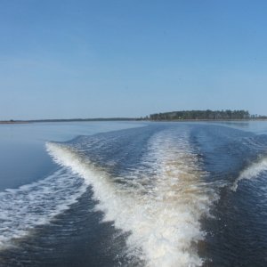 Indian Island in background on Pamlico River (21FEB10)