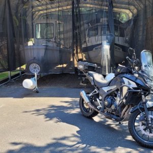 Ari has a new shed partner, darn bikes escaped again
