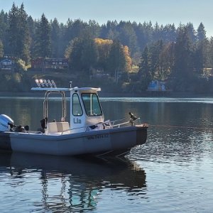 Media 'Off Eagle island in the south sound' in album 'Ari has a new shed partner, darn bikes escaped again'