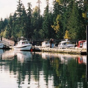 533564-R1-5A.jpg