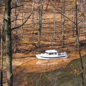 (Levity) Leafy Berth
