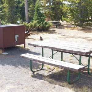 Picnic table and bear safe.