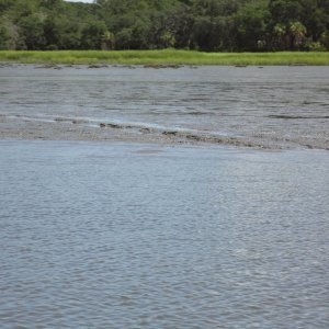 Mud river in GA. Holding my breath. I am in the center of the channel.