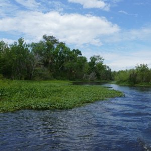 St John river creek