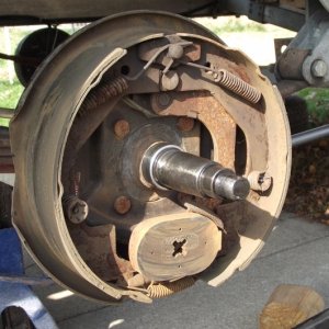 Dexter Electric Brakes after 3 seasons