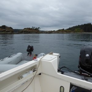Arrived in Ewing Cove at 11 AM and set up the dinghy.