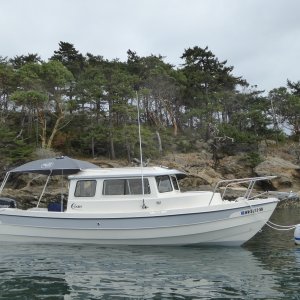 All set for Labor Day weekend. Surprisingly 3 of the 4 buoys in Ewing cove were open when I arrived at 11 and remained that way for a couple of more hours...not bad for a Labor Day weekend!