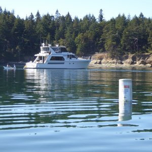 Big yacht with bikini-clad babes, anchored well inside in the No-Anchor eelgrass recovery zone!