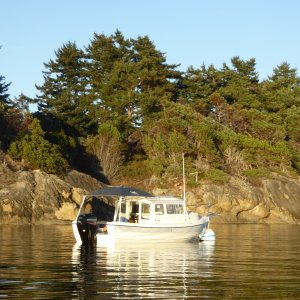 Big-C in Ewing Cove Sunday evening.