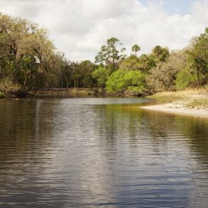 On Econlockhatchee River