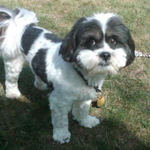 Baxter