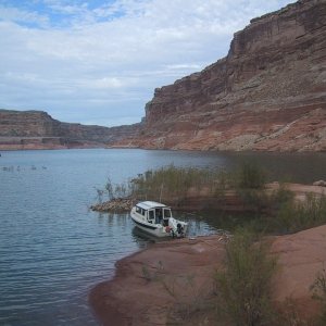 Powell