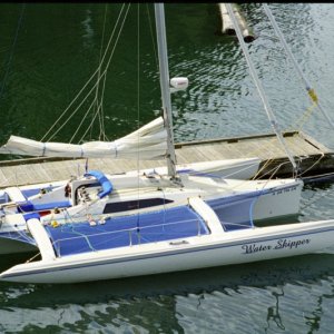 Water Skipper 3.jpg