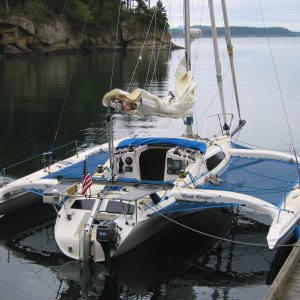 Water Skipper 4.jpg