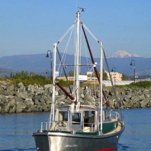 Alpine Sea Launch 2