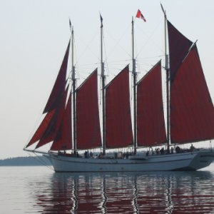 The Margaret Todd sails out of Bar Harbor, ME